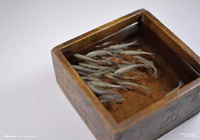 Goldfish_DM.jpgのサムネール画像