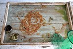 goldfish-1.jpg