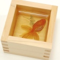樹脂作品