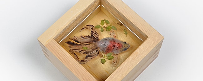 WORKS｜金魚養画場 美術作家 深堀隆介オフィシャルサイト RIUSUKE